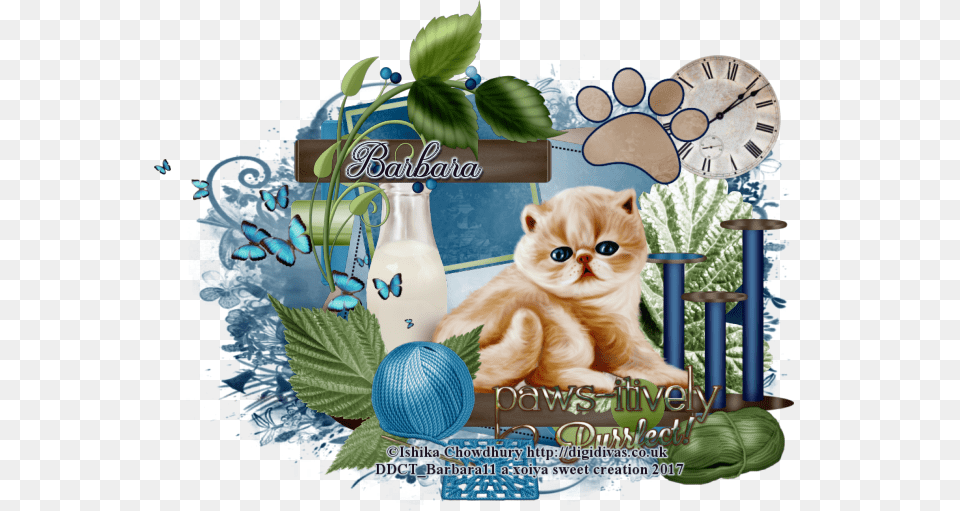 Transparent Nala Old Clock, Advertisement, Animal, Cat, Kitten Png