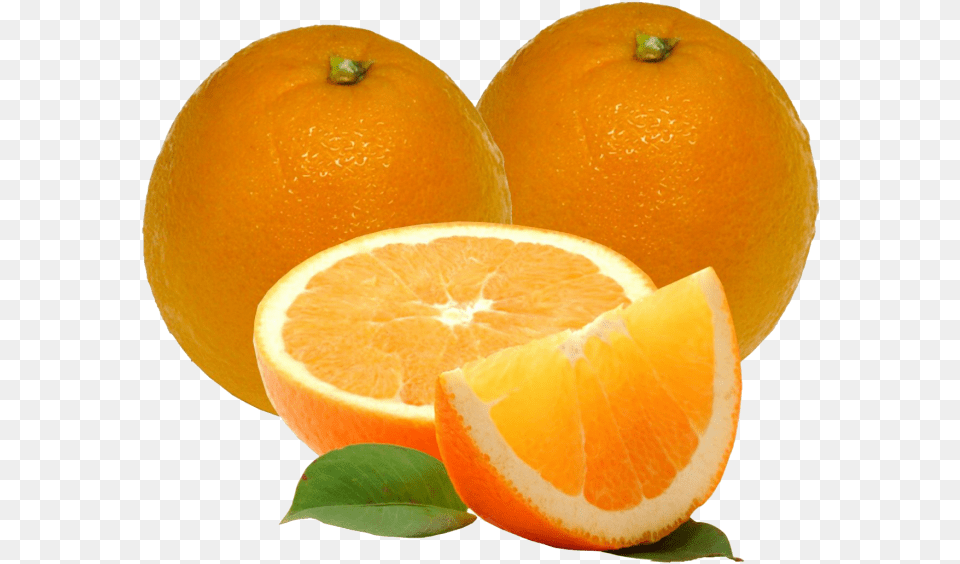 Transparent Naranja Clipart Heirloom Navel Oranges, Citrus Fruit, Food, Fruit, Grapefruit Png Image