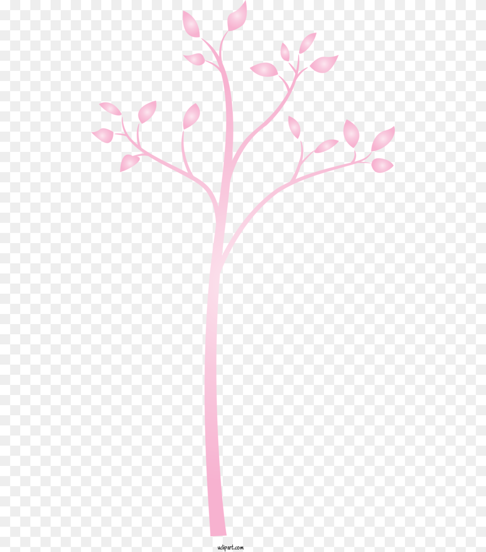 Transparent Nature Pink Branch Plant For Tree For Nature, Art, Floral Design, Graphics, Pattern Png