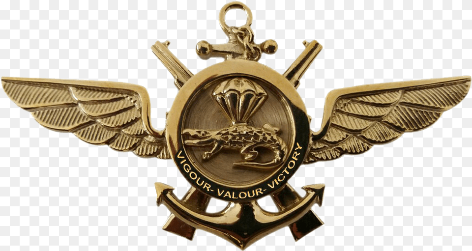 Transparent Navy Logo Emblem, Badge, Symbol, Bronze Free Png