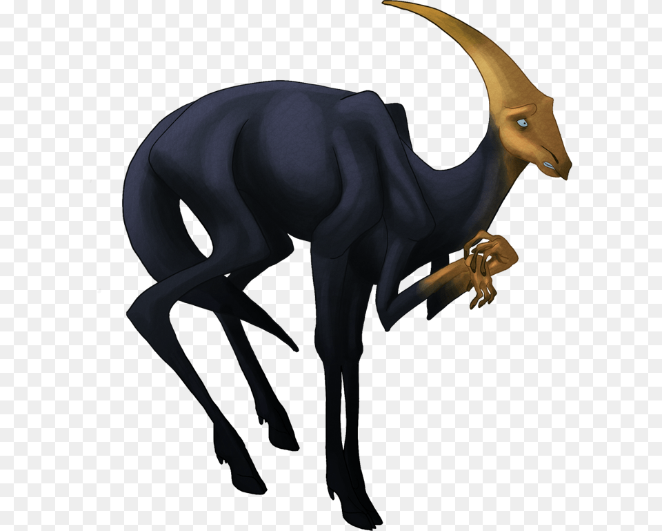 Transparent Nazar Boncugu Animal Figure, Kangaroo, Mammal Png Image