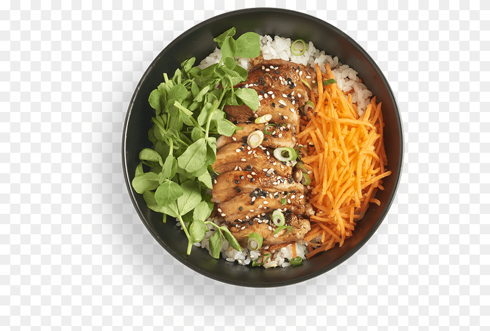 Transparent Noodle Bowl Clipart Wagamama Chicken Teriyaki Donburi, Food, Meal, Dish, Plate Png Image