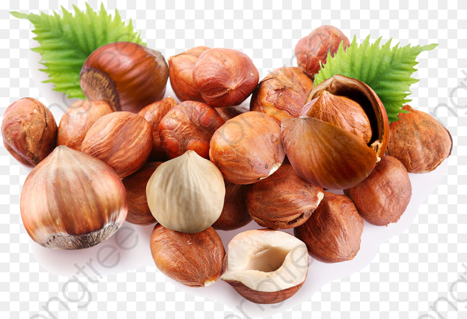 Transparent Nuts Chestnut, Food, Nut, Plant, Produce Free Png Download