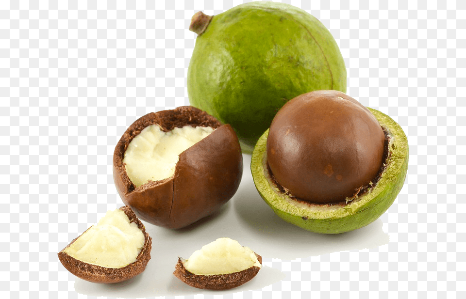 Transparent Nuts Macadamia, Vegetable, Produce, Plant, Nut Free Png Download