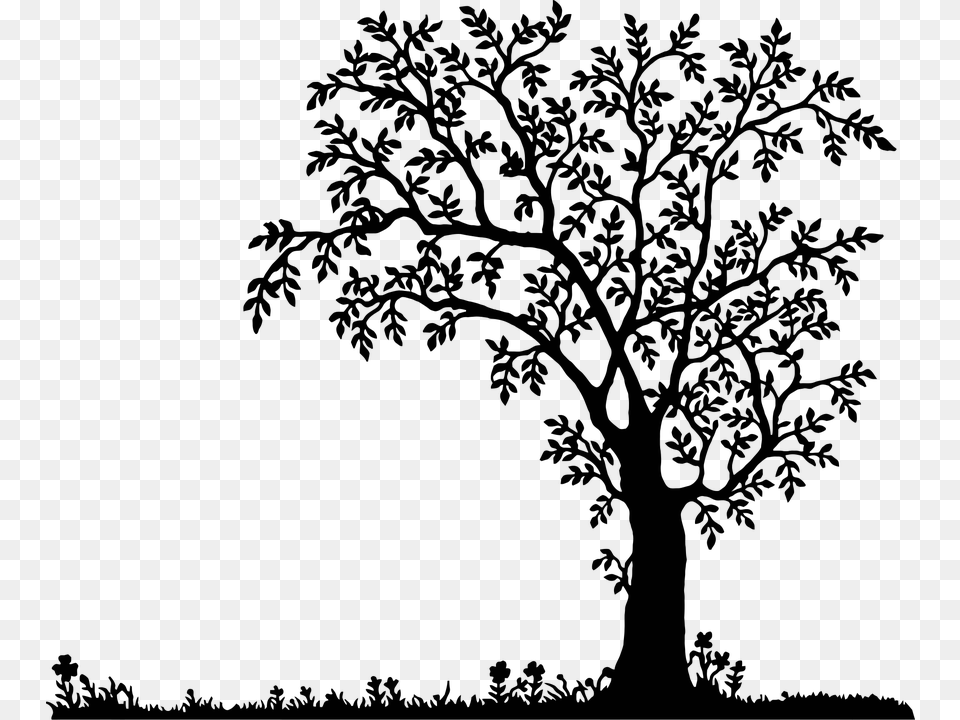 Oak Tree Clipart Bird In A Tree Silhouette, Nature, Night, Outdoors, Lighting Free Transparent Png
