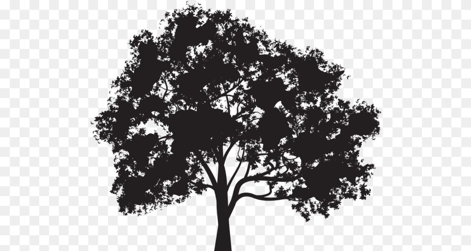 Oak Tree Silhouette, Plant, Art, Drawing Free Transparent Png