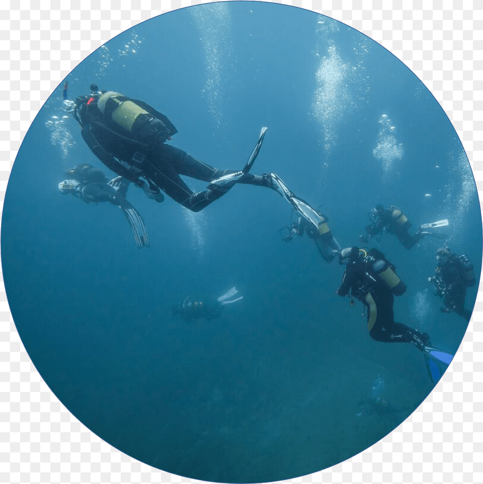 Transparent Ocean Bubbles Underwater, Nature, Adventure, Water, Leisure Activities Png Image