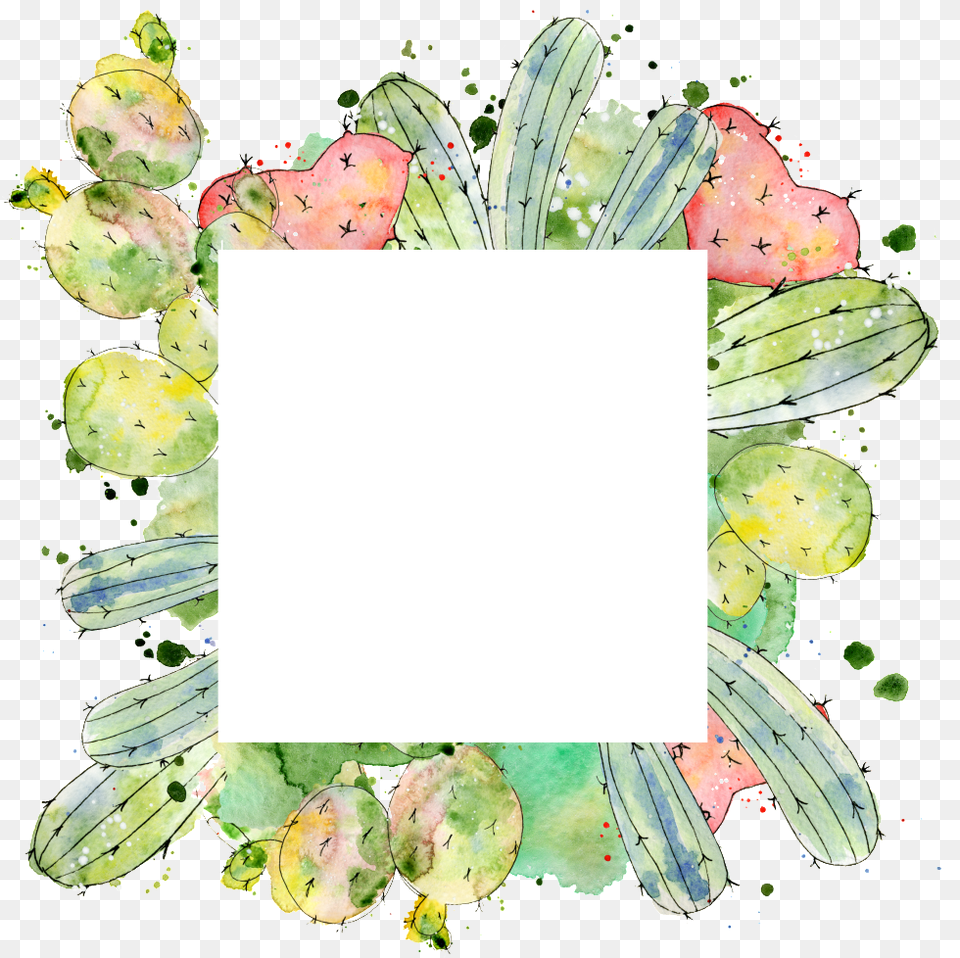 Transparent Of Square Cactus Border Floral Border Design Square, Plant Free Png Download