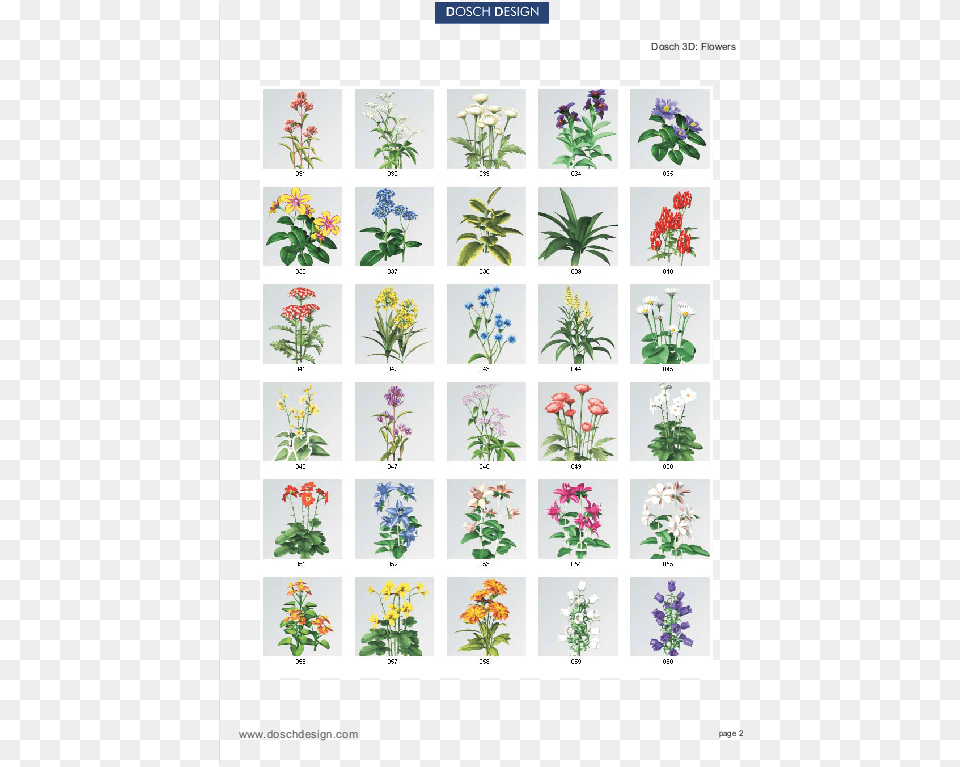 Transparent Ohm Symbol Floral Design, Flower, Herbal, Herbs, Plant Png