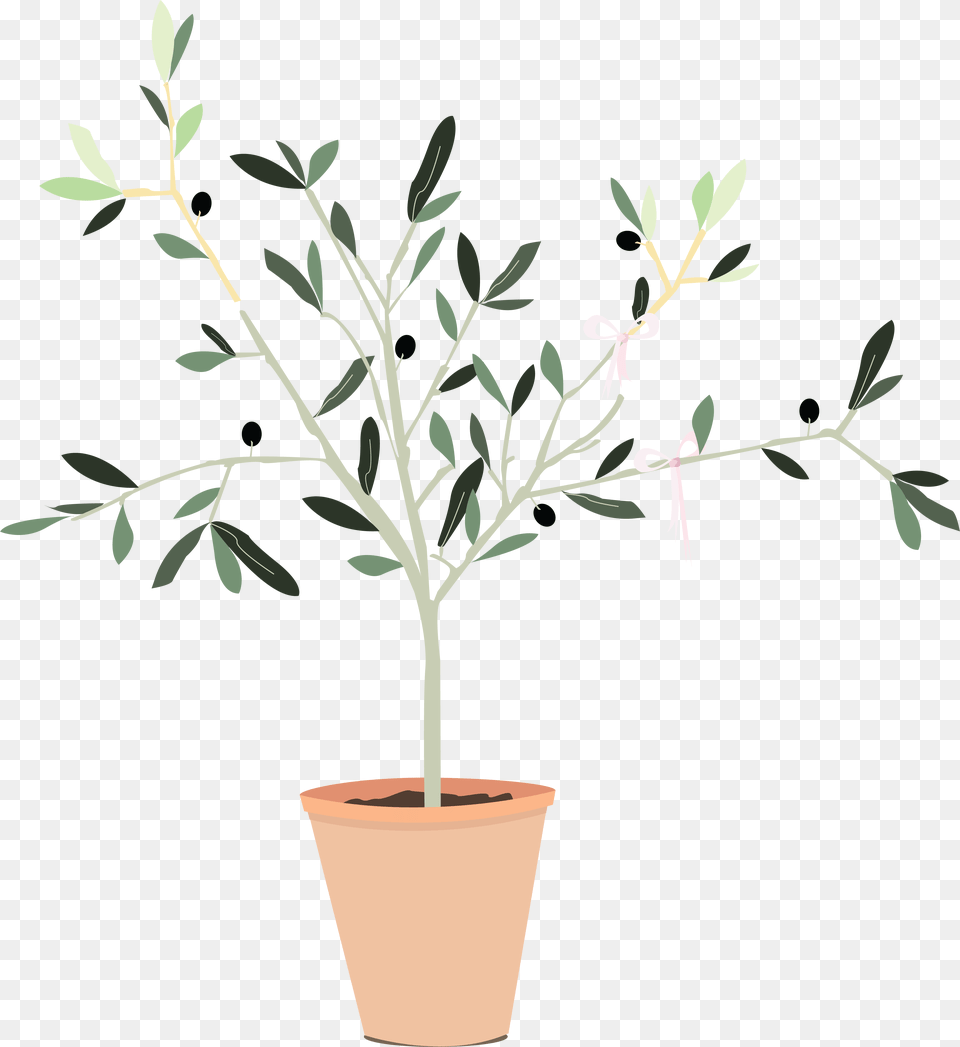 Transparent Olive Branch Flowerpot, Herbal, Herbs, Leaf, Plant Free Png