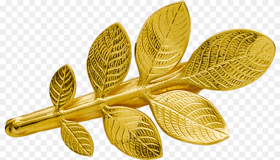 Transparent Olive Leaves Amber, Accessories, Gold, Jewelry, Treasure Free Png