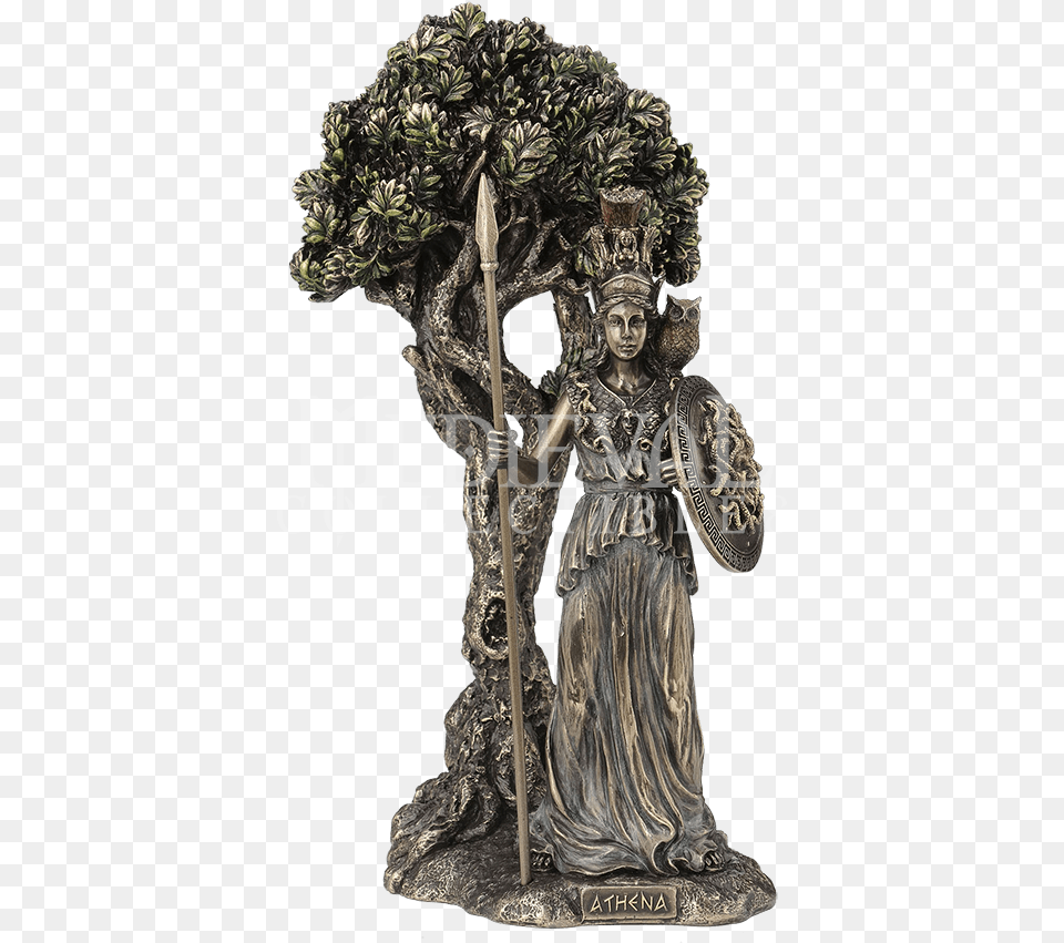 Transparent Olive Tree Olive Tree Athena, Bronze, Figurine, Adult, Wedding Png