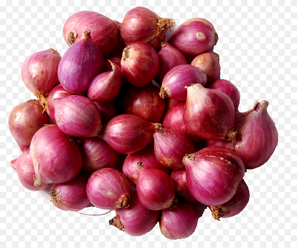 Transparent Onion Onion In Sri Lanka, Food, Plant, Produce, Vegetable Free Png Download