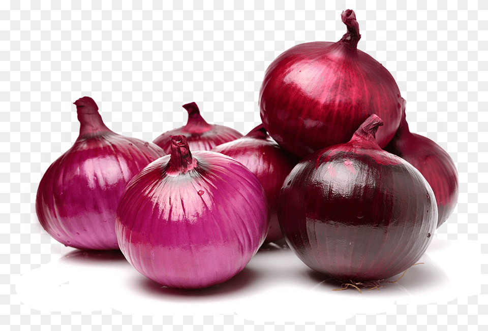 Transparent Onion Red Onion, Food, Produce, Plant, Vegetable Free Png Download