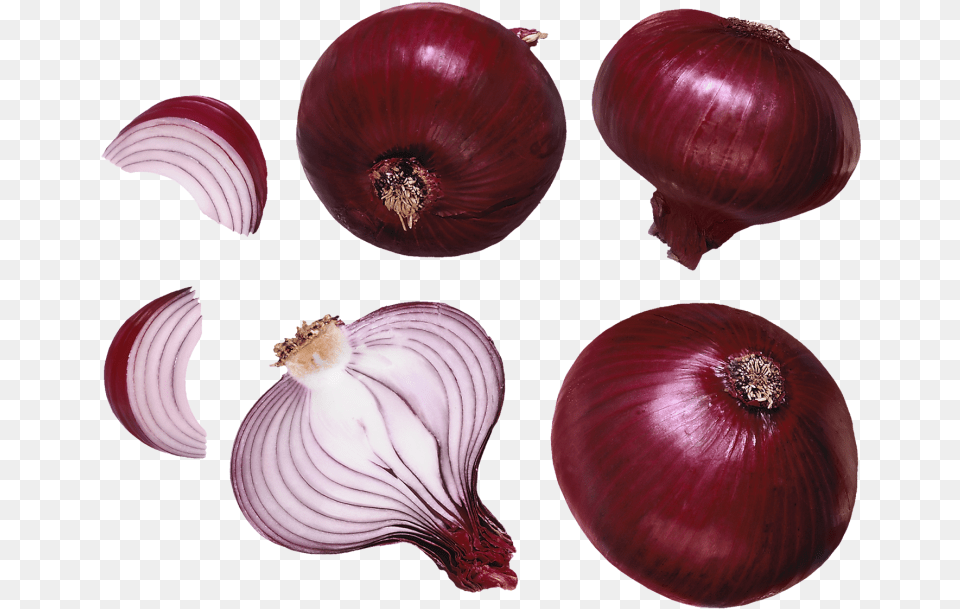 Transparent Onion Swelling Insect Bites Treatment, Food, Produce, Plant, Vegetable Free Png