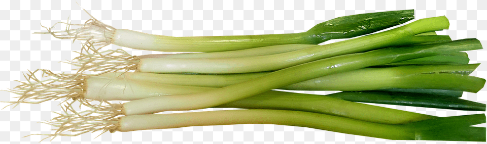Transparent Onions Spring Onions, Food, Produce, Plant, Leek Free Png Download