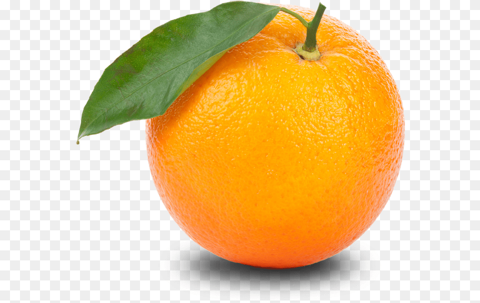 Transparent Orange, Citrus Fruit, Food, Fruit, Plant Png