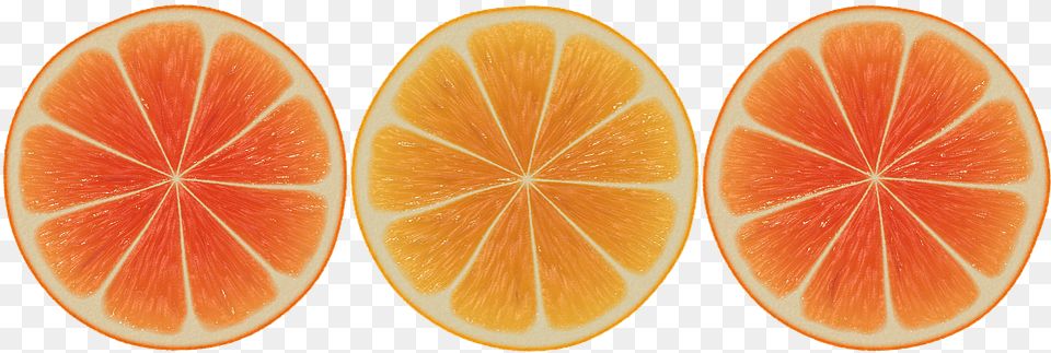 Transparent Orange Banner Orange Slices Design, Citrus Fruit, Food, Fruit, Grapefruit Free Png Download