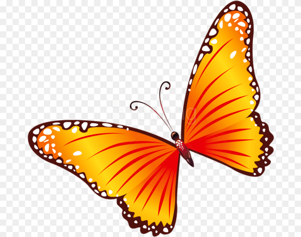 Transparent Orange Butterfly Clipart Butterfly Clipart Transparent, Animal, Insect, Invertebrate, Monarch Free Png Download