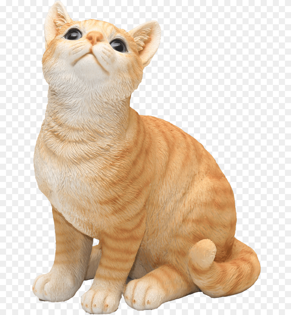 Transparent Orange Cat Cat Sit, Animal, Mammal, Manx, Pet Free Png