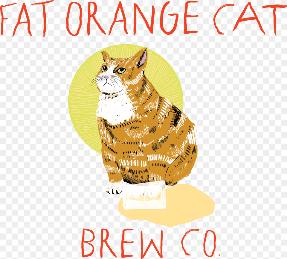 Transparent Orange Cat Fat Orange Cat Brewery East Hampton Connecticut, Animal, Mammal, Manx, Pet Png