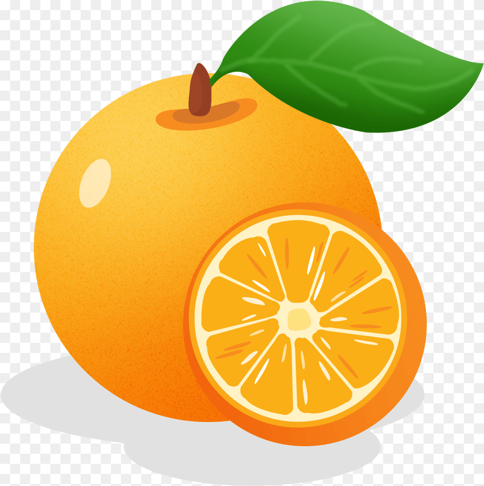 Transparent Orange Fruit, Citrus Fruit, Food, Plant, Produce Free Png