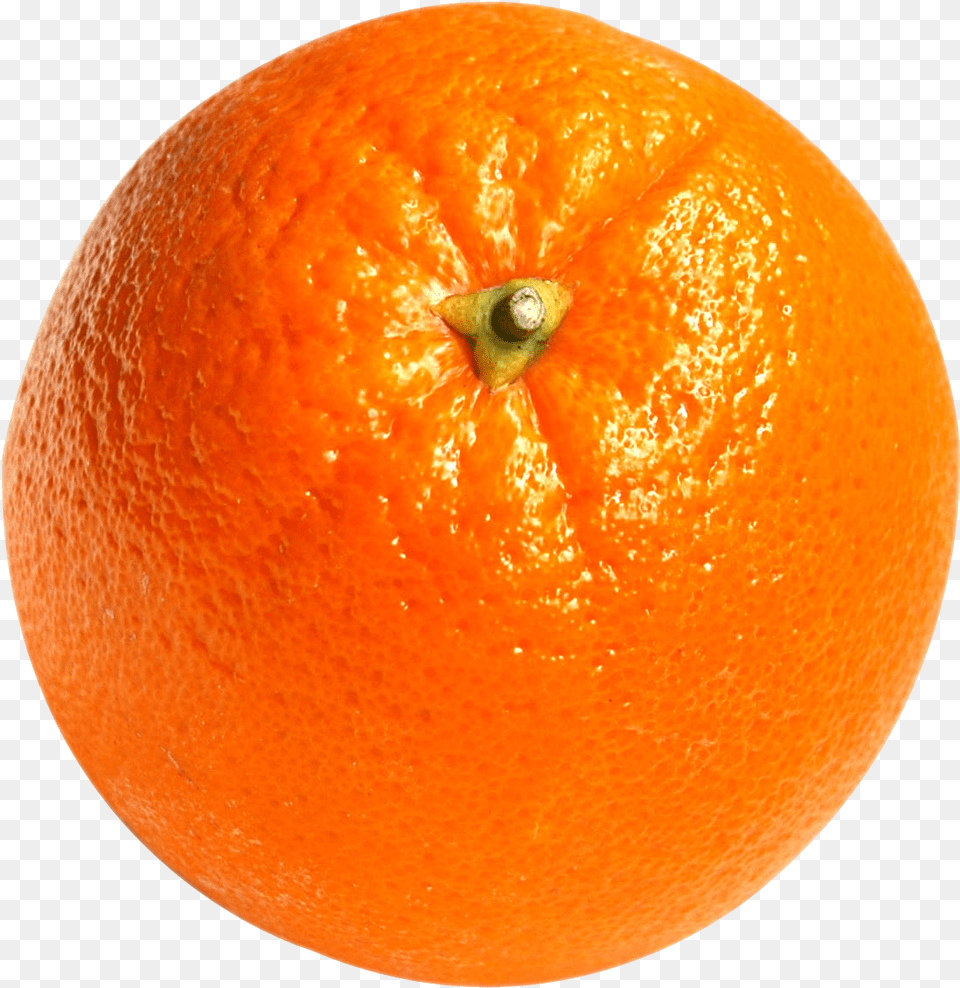 Orange Orange Fruit, Citrus Fruit, Food, Plant, Produce Free Transparent Png