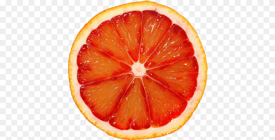 Transparent Orange Tumblr Grapefruit Brown Bangle 20 Mm Glass Cabochon Leather, Citrus Fruit, Food, Fruit, Plant Png