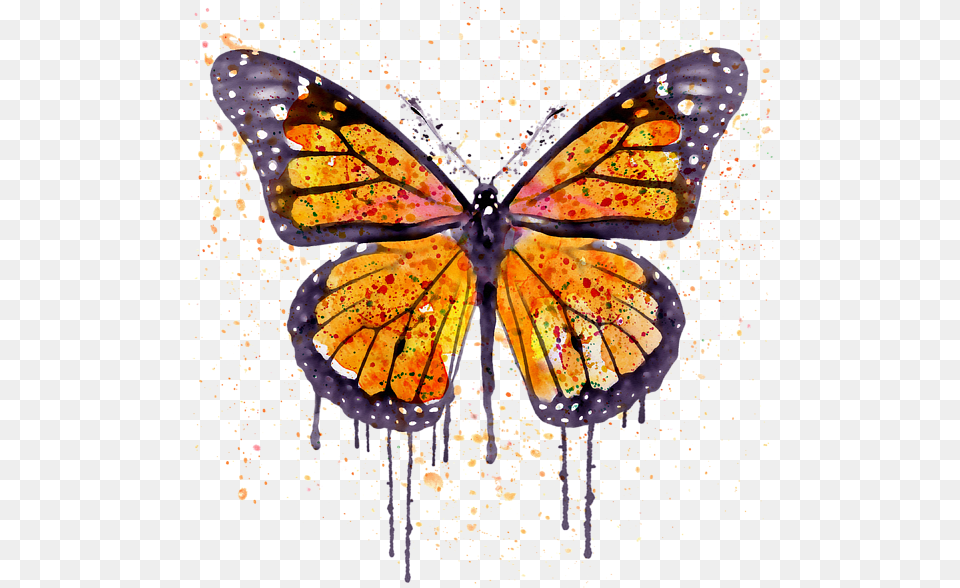 Transparent Orange Watercolor Monarch Butterfly Canvas Paintings, Art, Animal, Invertebrate, Insect Png Image