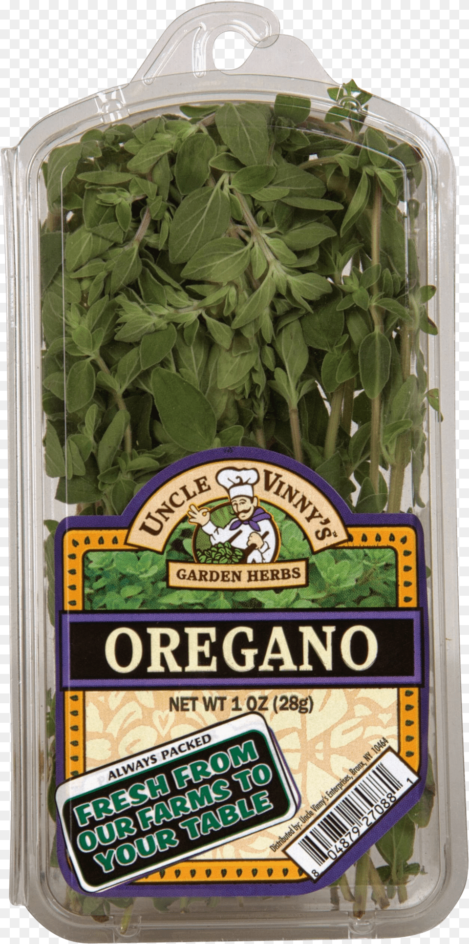 Transparent Oregano Water Spinach Png Image