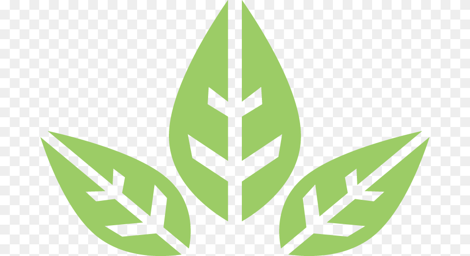 Transparent Organic Icon Savons De Leandra, Herbal, Herbs, Leaf, Plant Png Image