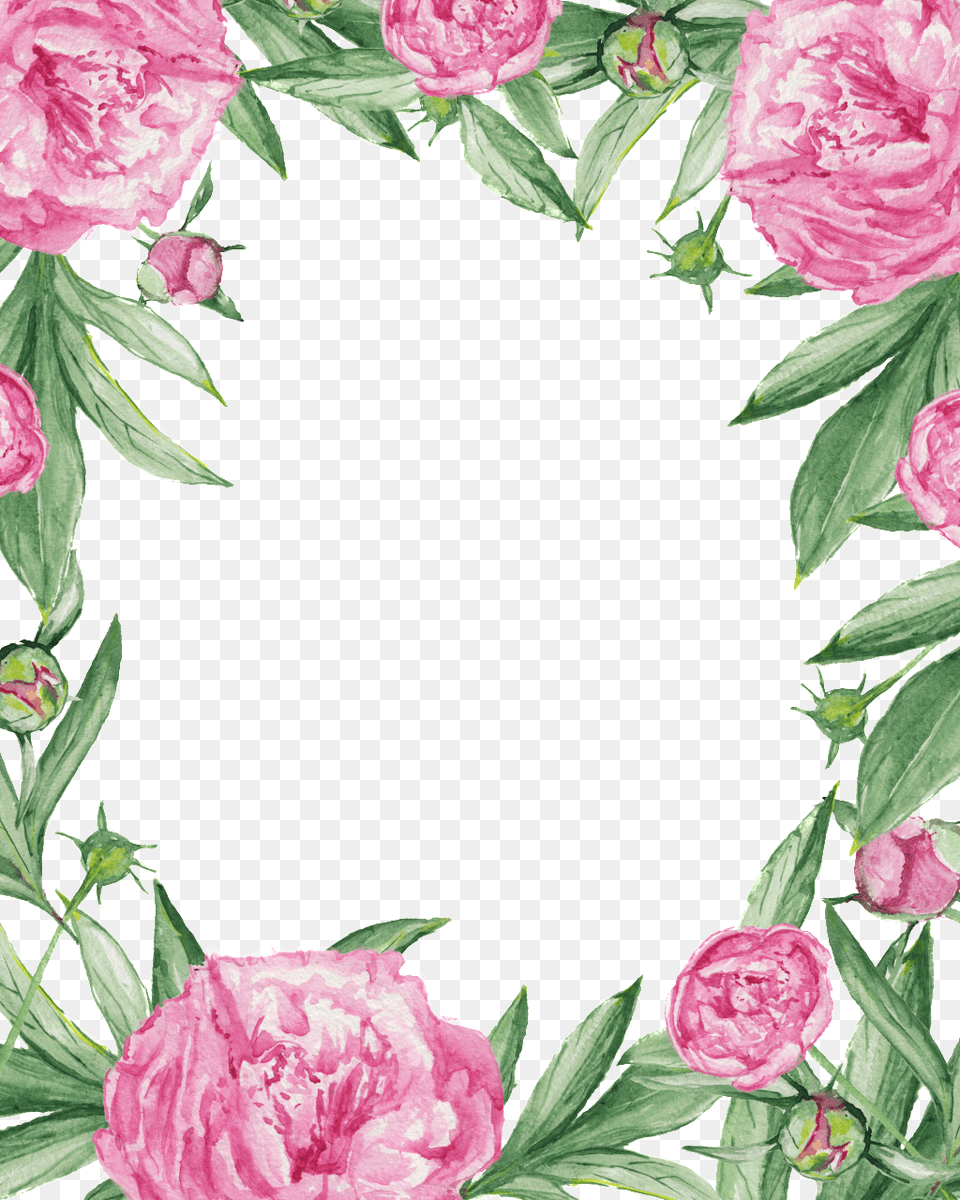 Transparent Ornamental Material For Pink Flowers Wedding Braut Danken Ihnen Bezaubernde Schwarze Karte, Flower, Plant, Rose, Carnation Free Png