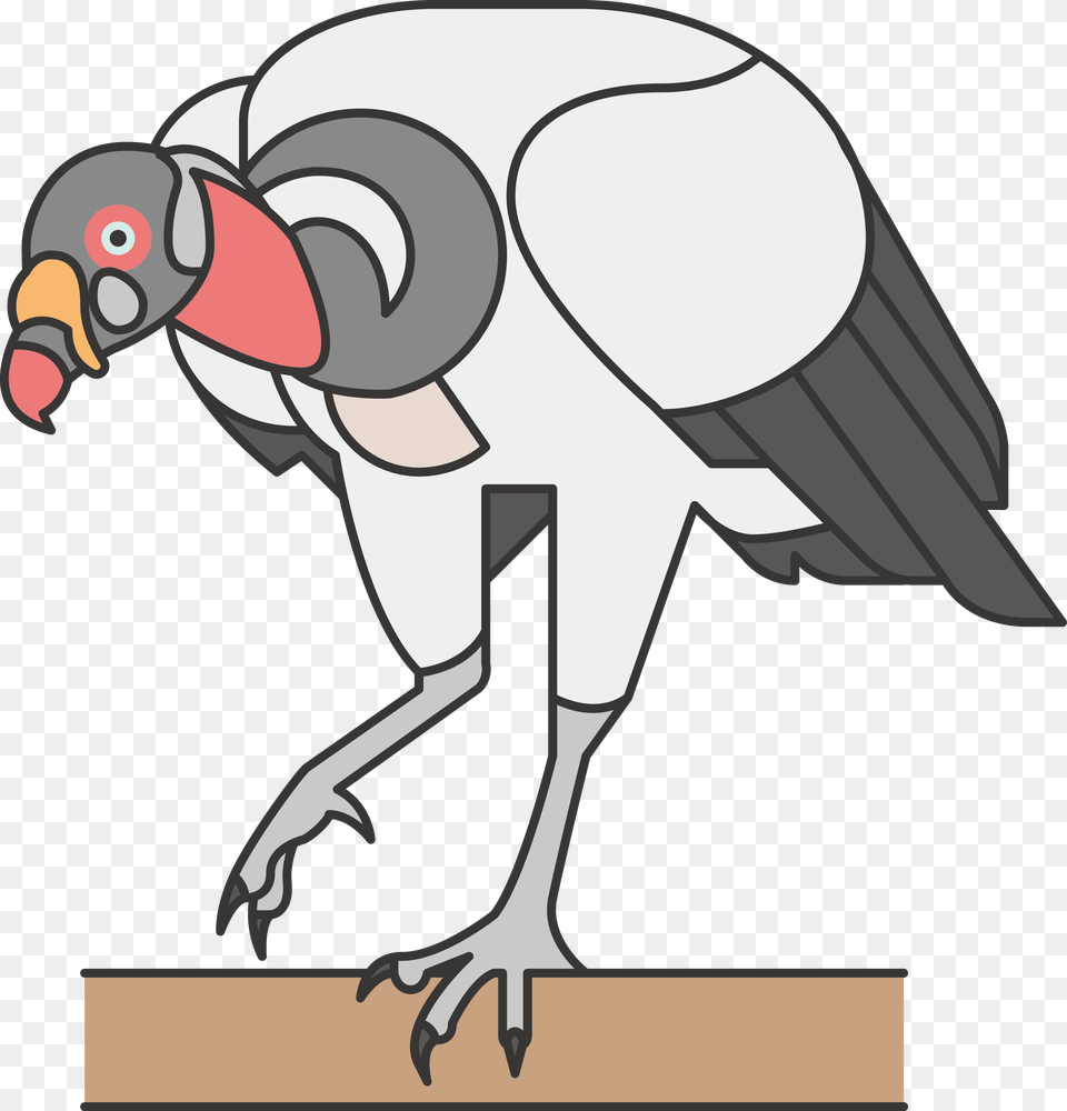 Transparent Ostrich Clipart Common Ostrich, Animal, Bird, Vulture, Condor Free Png