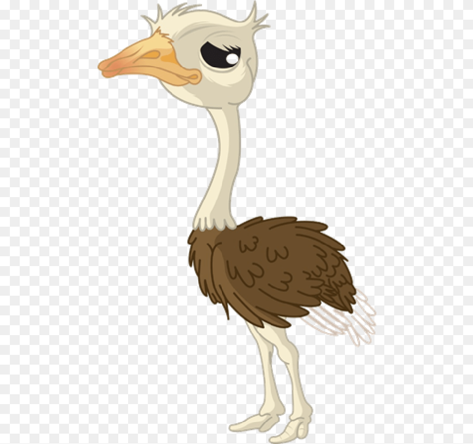 Transparent Ostrich Clipart Ostrich, Animal, Beak, Bird, Kangaroo Png Image
