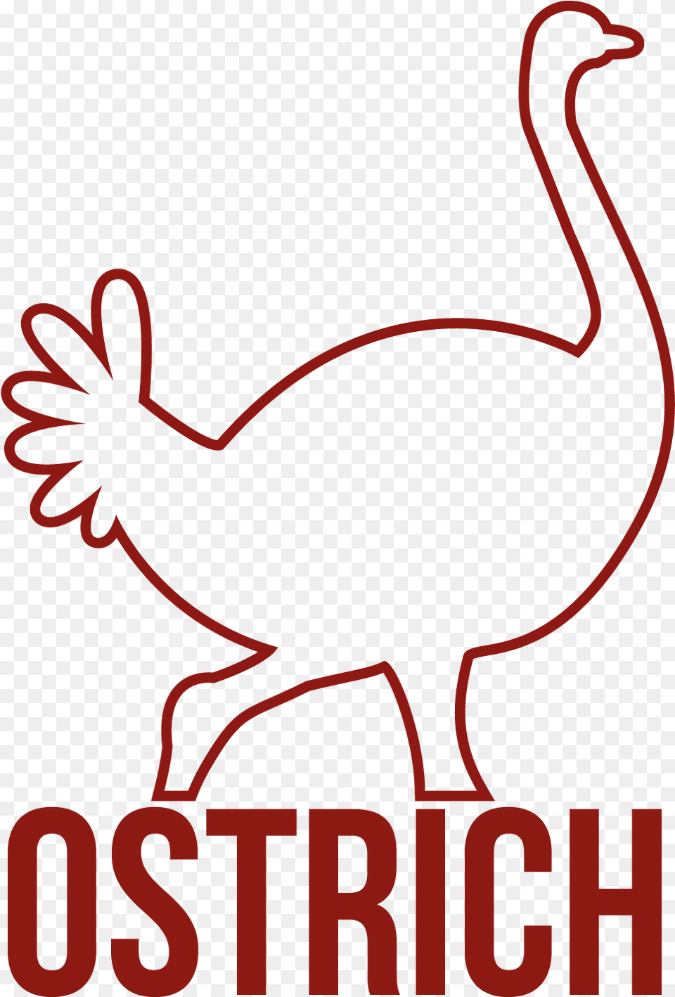 Transparent Ostrich Water Bird, Animal Png Image