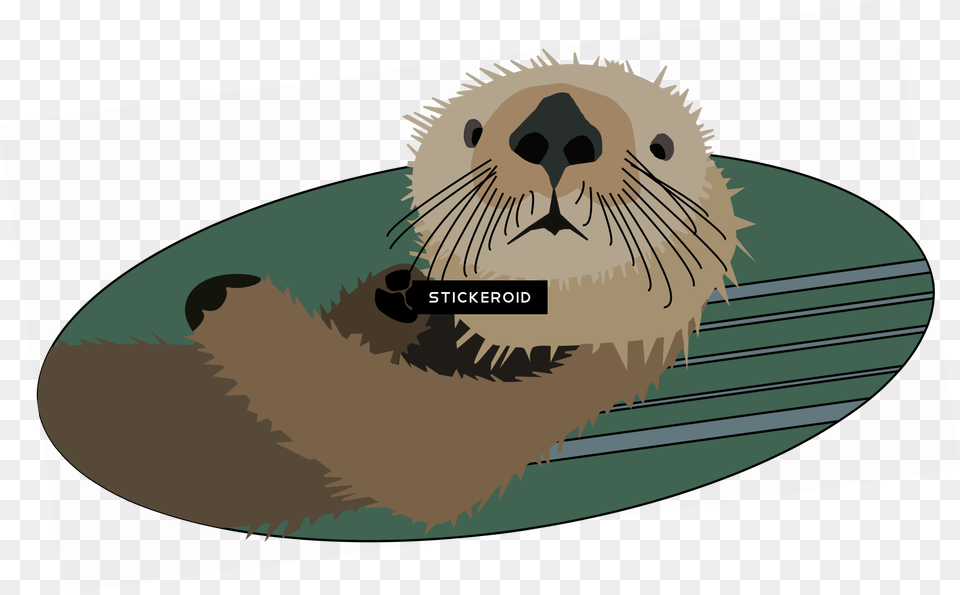 Transparent Otter California Sea Lion, Animal, Mammal, Wildlife, Fish Png Image