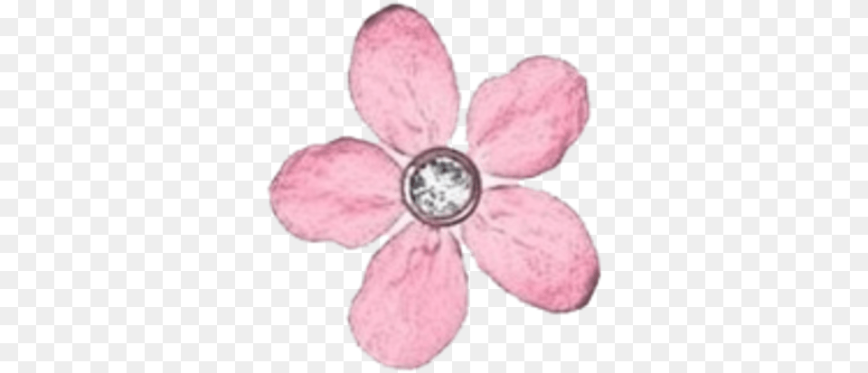 Transparent Overlay Pink Flower, Plant, Anemone, Petal, Accessories Png Image