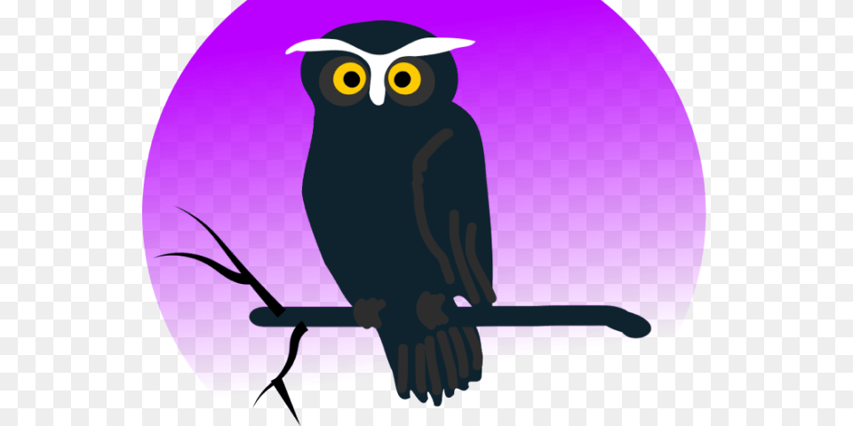 Transparent Owl Clipart Halloween Owl Cartoon, Animal, Bird Png Image
