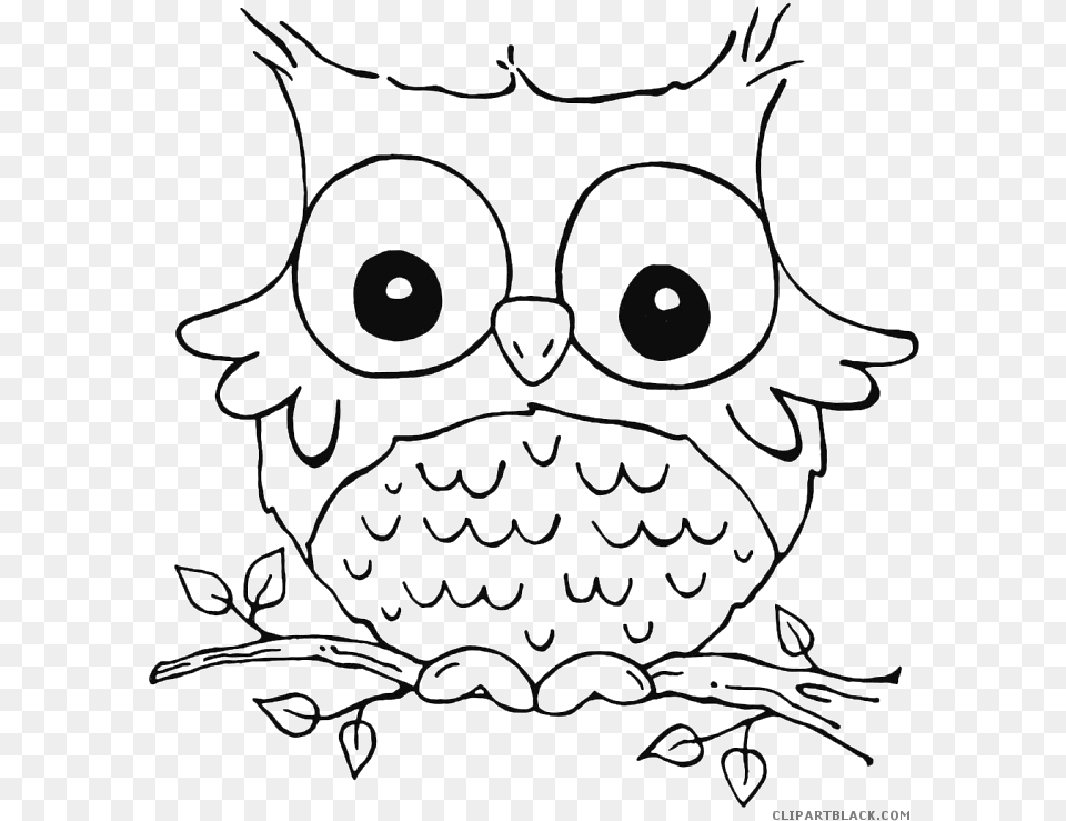 Transparent Owl Face Animal Coloring Pages Owl, Stencil, Art, Drawing Free Png