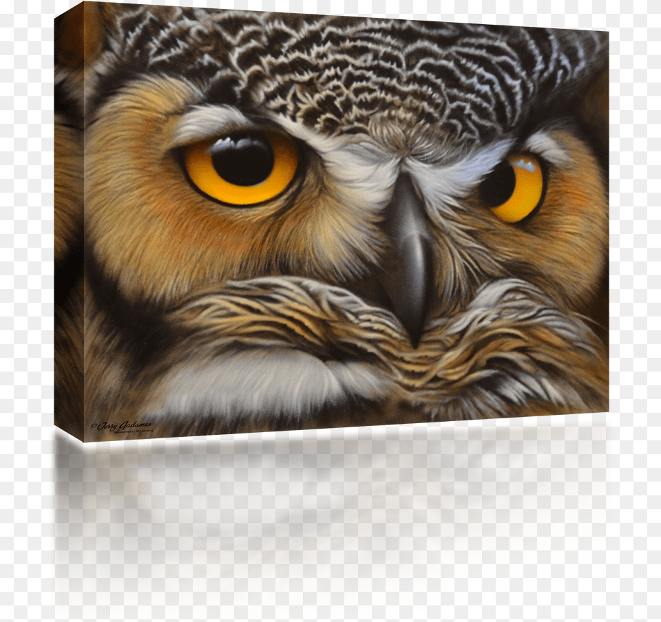 Transparent Owl Face Great Horned Owl, Animal, Beak, Bird Png