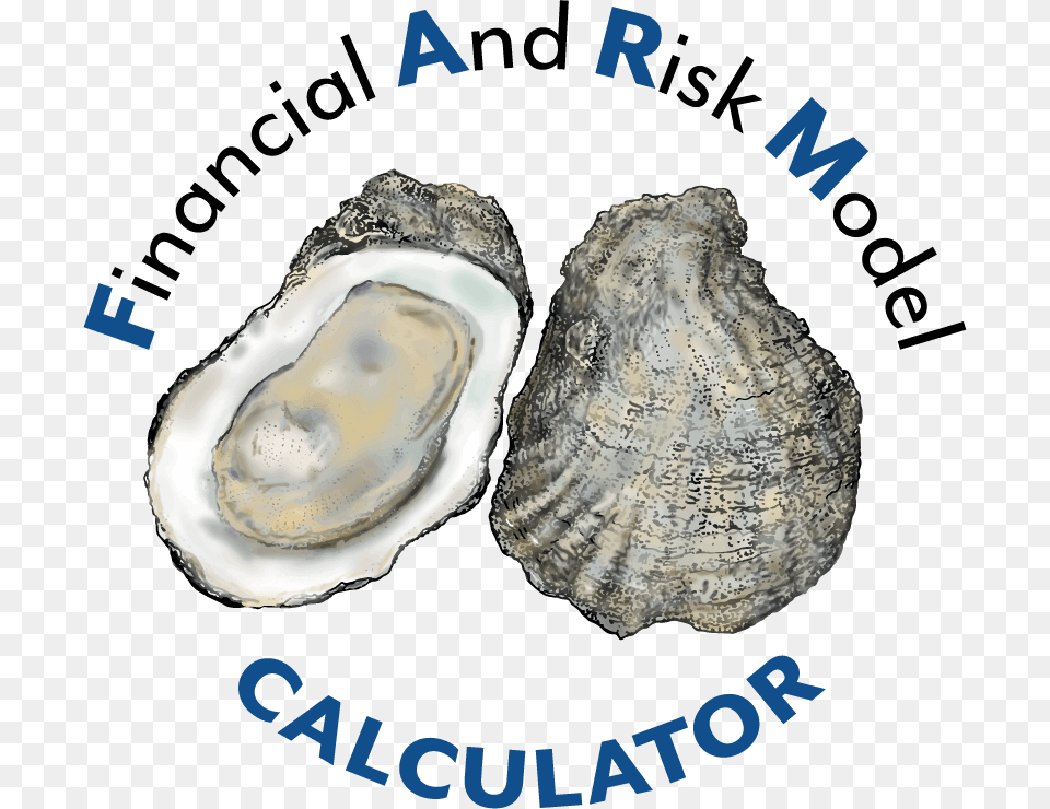 Transparent Oysters Anti Acne Foods, Animal, Sea Life, Food, Seafood Png Image