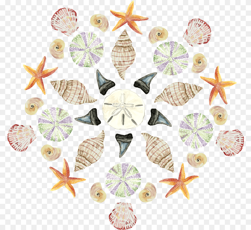 Transparent Paintings Watercolor Painting, Animal, Invertebrate, Sea Life, Seashell Free Png Download