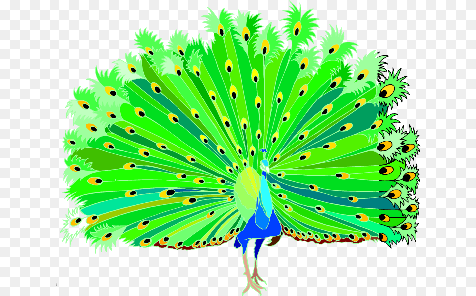 Transparent Pajamas Clipart Peacock Clipart Hd, Animal, Bird Free Png