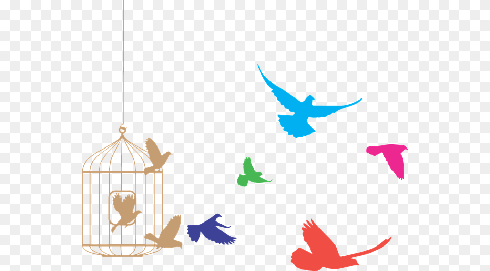 Transparent Pajaros Birds Flying Out Of Cage, Animal, Fish, Sea Life, Shark Free Png