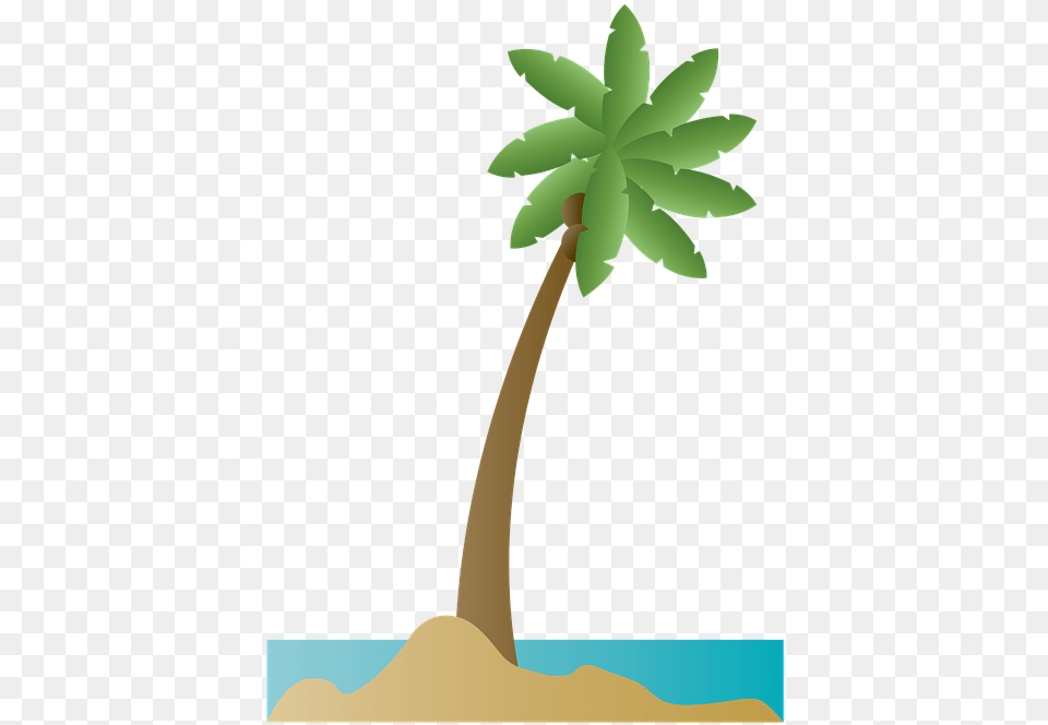 Palm Tree Clipart Playa Ilustracion, Palm Tree, Plant, Leaf, Cross Free Transparent Png