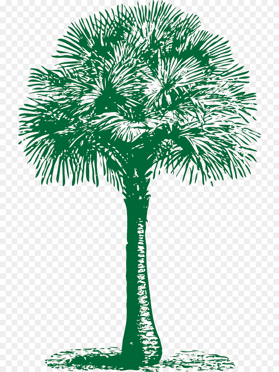 Transparent Palm Tree Fan Clip Art, Palm Tree, Plant Free Png Download