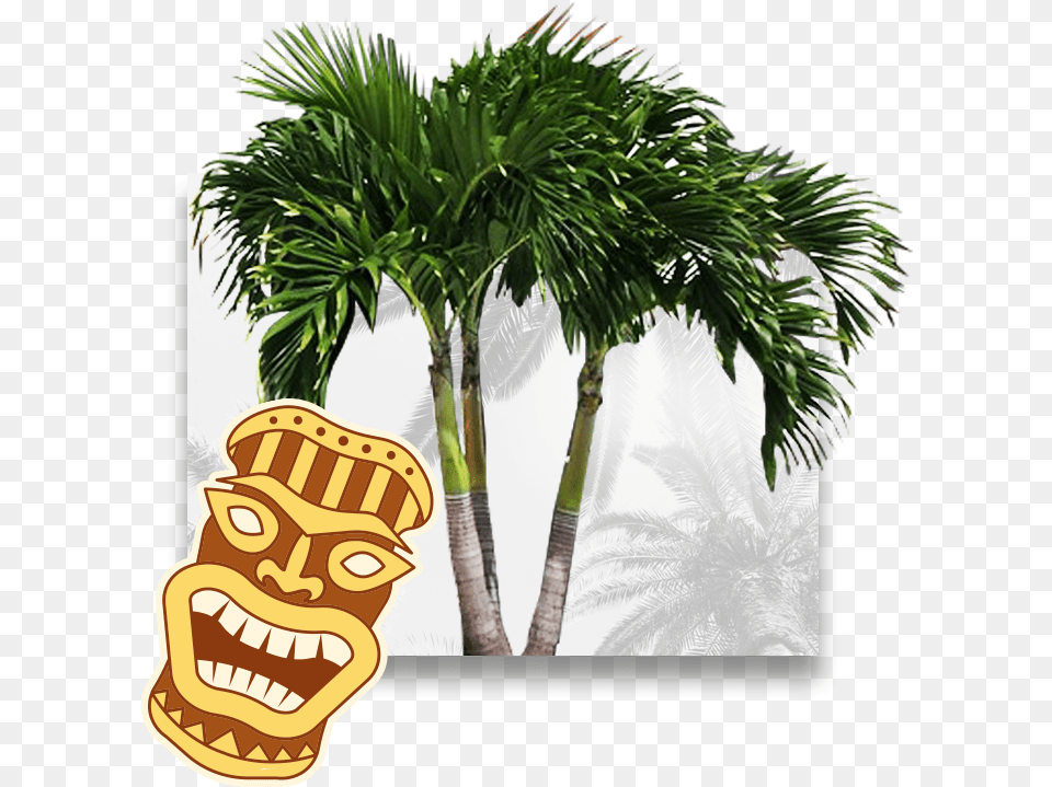 Palm Tree Plan Borassus Flabellifer, Emblem, Palm Tree, Plant, Symbol Free Transparent Png