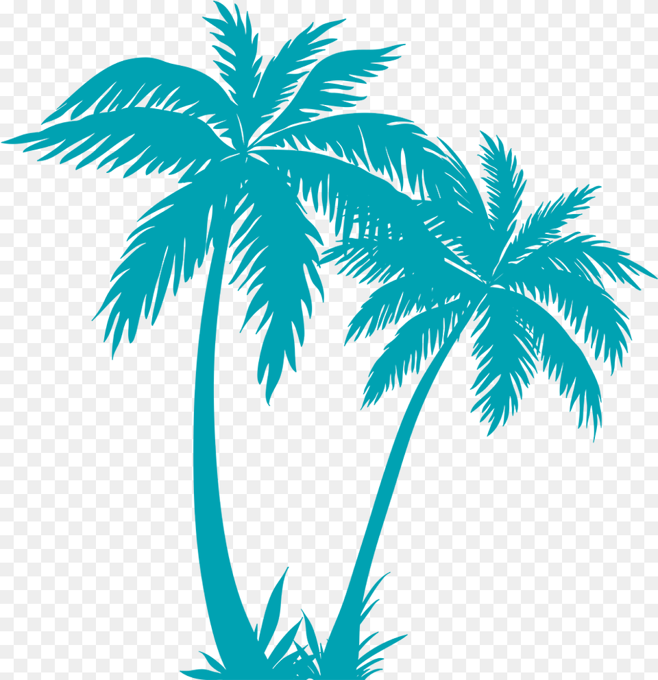Transparent Palm Tree Plan Palm Tree Vector, Palm Tree, Plant, Vegetation, Outdoors Png Image