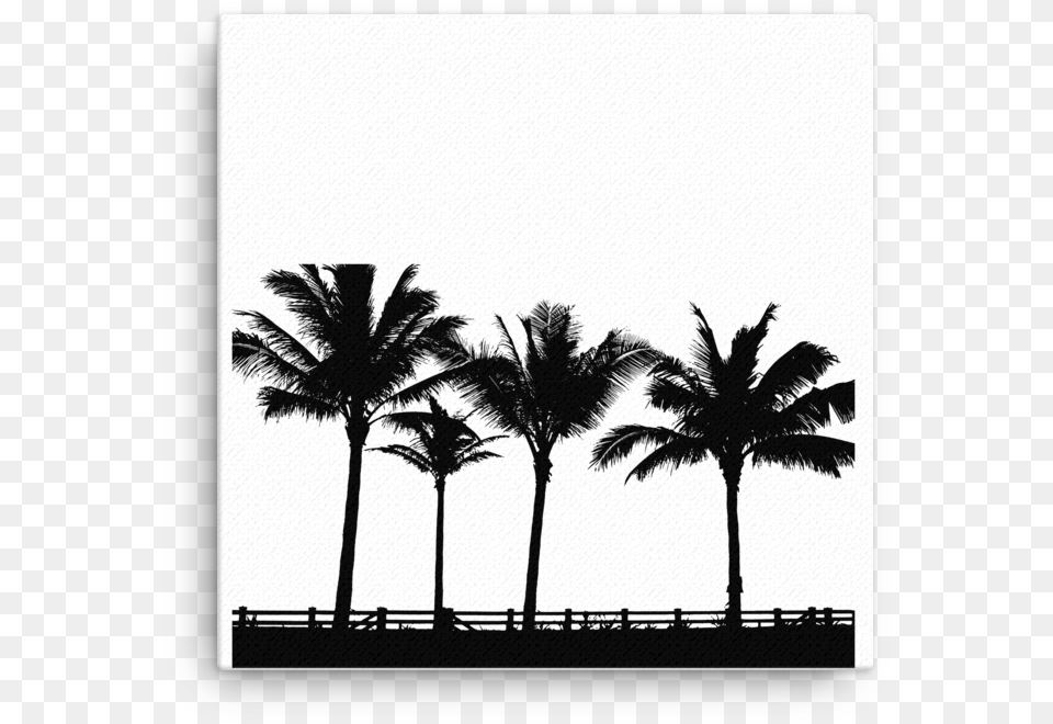 Transparent Palm Tree Silhouette Palm Treee Vector Silhouette, Palm Tree, Plant, Summer, Outdoors Png