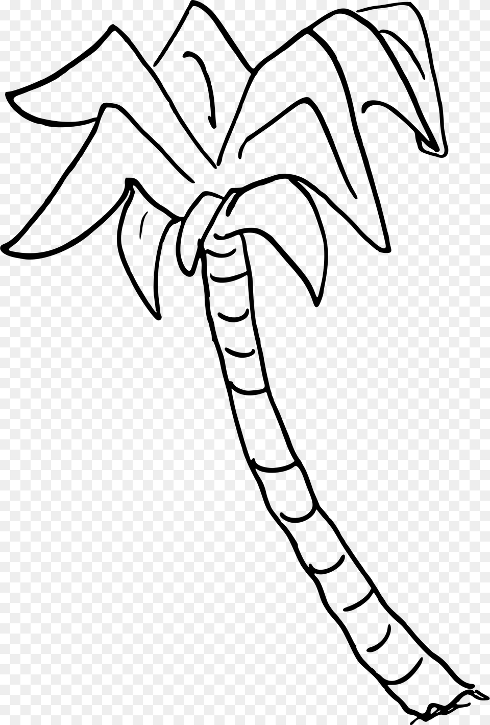 Transparent Palm Tree Top View Palm Tree Drawing Transparent, Gray Png Image